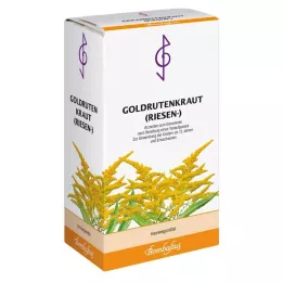 GOLDRUTENKRAUT Té gigante, 100 g