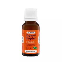 INGWERTROPFEN Dr. Muches, 20 ml