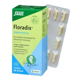 Floradix hierro más cápsulas veganas B12, 40 piezas