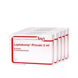 LOPHAKOMP Solución inyectable de procaína de 2 ml, 50 x 2 ml
