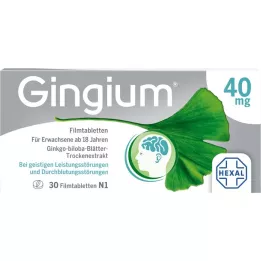 GINGIUM Comprimidos recubiertos con película, 30 uds