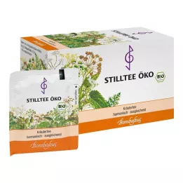 STILLTEE Bolsas de filtro ecológicas, 20 x 2 g