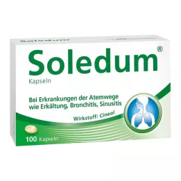 SOLEDUM Cápsulas gastrorresistentes de 100 mg, 100 uds