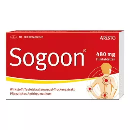 SOGOON Comprimidos recubiertos con película de 480 mg, 20 uds