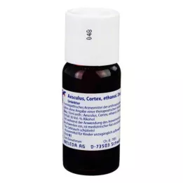 AESCULUS CORTEX Decocción etérea tintura madre D 1, 50 ml