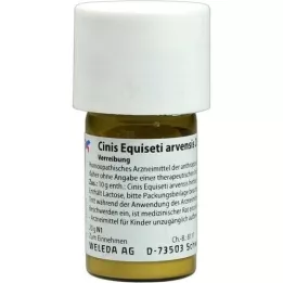 CINIS EQUISETI Arvensis D 6 Trituration, 20 g