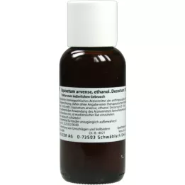 Equisetum Arven Etanol Decocotum 10%, 100 ml