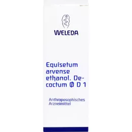 Equisetum arve etanol decocoat, 50 ml