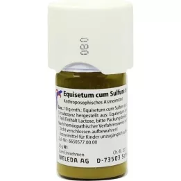 EQUISETUM CUM Tostum de sulfura D 1 trituración, 20 g