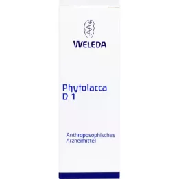 Phytolacca D1, 20 ml