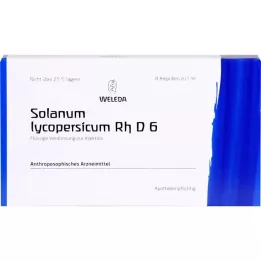 Solanum lycopersicum rh d6, 8 pz