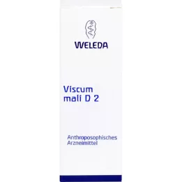 Viscum Mali D2, 50 ml