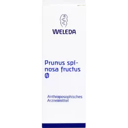 Tintura natural de Prunus Spinosa Fructus, 50 ml