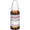 ARUM TRIPHYLLUM Dilución D 12, 20 ml
