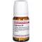 Hypericum D 8, 80 pz