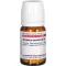 Juniperus Comm D 4, 80 pz