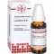 LYCOPODIUM Dilución D 60, 20 ml