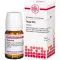 Thuja D15, 80 pz