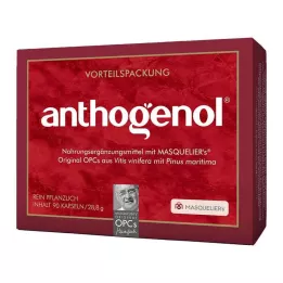 OPC ORIGINAL Cápsulas de Anthogenol de Masqueliers, 90 uds
