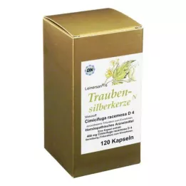 TRAUBENSILBERKERZE Kapseln, 120 pz