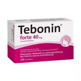 TEBONIN comprimidos recubiertos con película forte 40 mg, 120 uds
