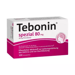 TEBONIN Comprimidos especiales recubiertos con película de 80 mg, 120 uds