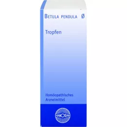 BETULA PENDULA Tintura madre de Hanosan, 20 ml