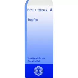 BETULA PENDULA Tintura madre de Hanosan, 50 ml