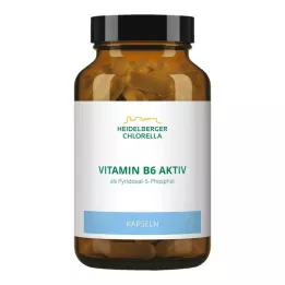 VITAMIN CÁPSULAS B6, 120 uds