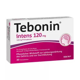 TEBONIN Intens 120 mg comprimidos recubiertos con película, 30 uds