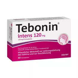 TEBONIN Intens 120 mg comprimidos recubiertos con película, 60 uds