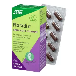 FLORADIX Cápsulas de hierro más vitaminas B, 40 uds