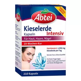 ABTEI Cápsulas de sílice, 210 uds
