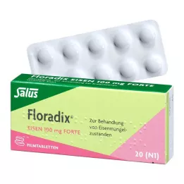 FLORADIX Comprimidos recubiertos con película de hierro forte de 100 mg, 20 uds