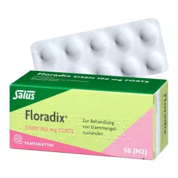 FLORADIX Comprimidos recubiertos con película de hierro forte de 100 mg, 50 uds