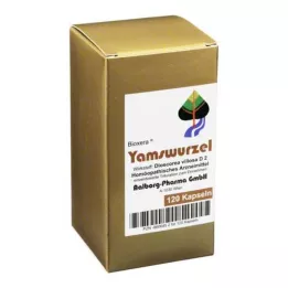 YAMSWURZEL Kapseln, 120 pz