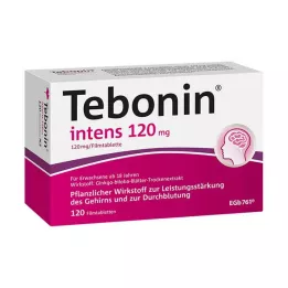 TEBONIN Intens 120 mg comprimidos recubiertos con película, 120 uds