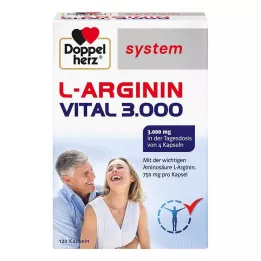 DOPPELHERZ L-Arginina Vital 3000 cápsulas del sistema, 120 uds