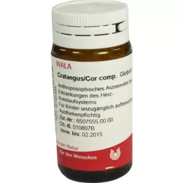 ARNICA E Planta total D 2 glóbulos, 20 g