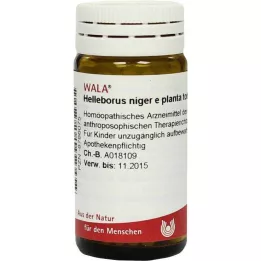 HELLEBORUS NIGER y planta entera D 6 Glóbulos, 20 g