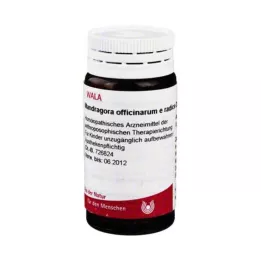 MANDRAGORA OFFICINARIUM Glóbulos de raíz D 4, 20 g