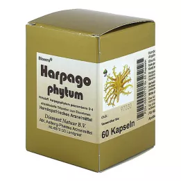 HARPAGOPHYTUM BIOXERA Cápsulas, 60 pz