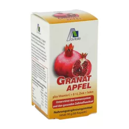 GRANATAPFEL 500 mg más Vit.C+B12+Zink+Selenium Caps., 60 pz