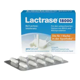 LACTRASE 18.000 FCC cápsulas, 40 uds