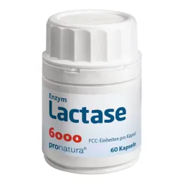 Cápsulas de lactasa 6000 FCC , 60 piezas