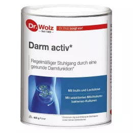 DARM ACTIV Polvo Dr.Wolz, 400 g