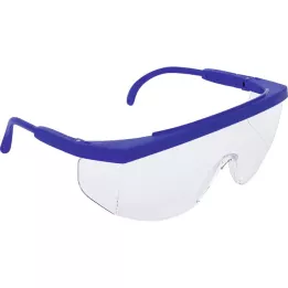 FOLIODRESS gafas protectoras para los ojos, 5 pz
