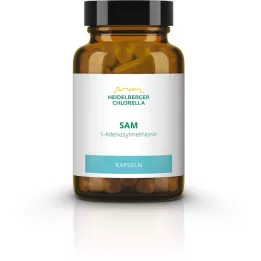 SAM S-ADENOSYLMETHIONIN cápsulas, 60 uds