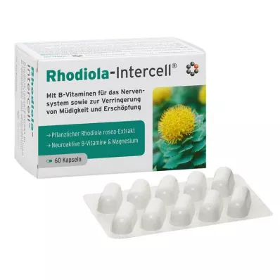 RHODIOLA-INTERCELL cápsulas, 60 uds RHODIOLA-INTERCELL cápsulas, 60 uds