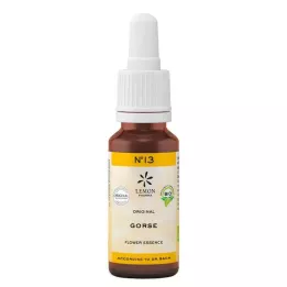 Bach Blossom No. 13 Gorse orgánico, 20 ml